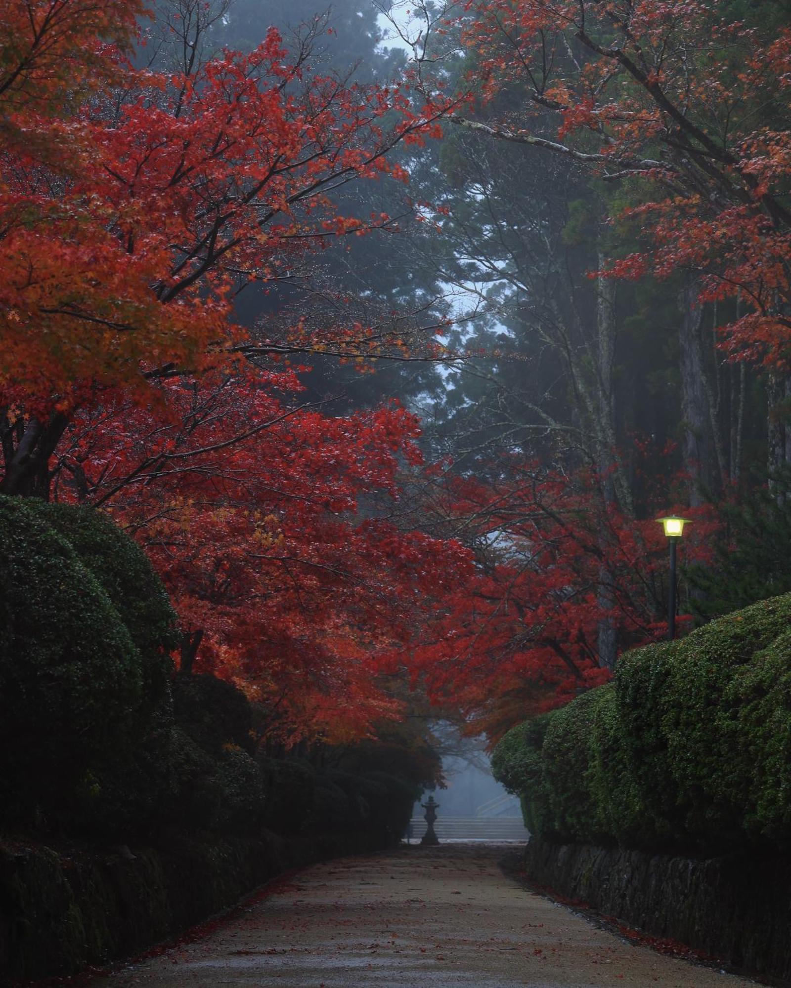 Koyasan Guesthouse Kokuu المظهر الخارجي الصورة