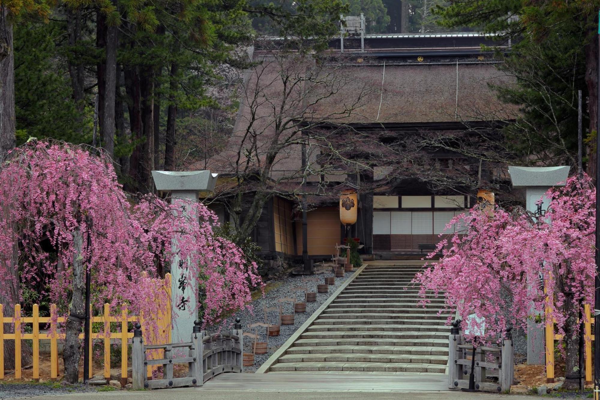 Koyasan Guesthouse Kokuu المظهر الخارجي الصورة